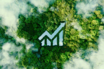 The Role of the Climate-Conscious Accountant